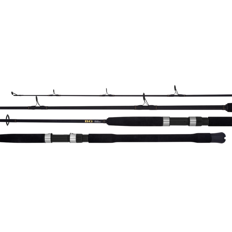 Daiwa 22 BG Bluewater Spin Rod S56-3/5