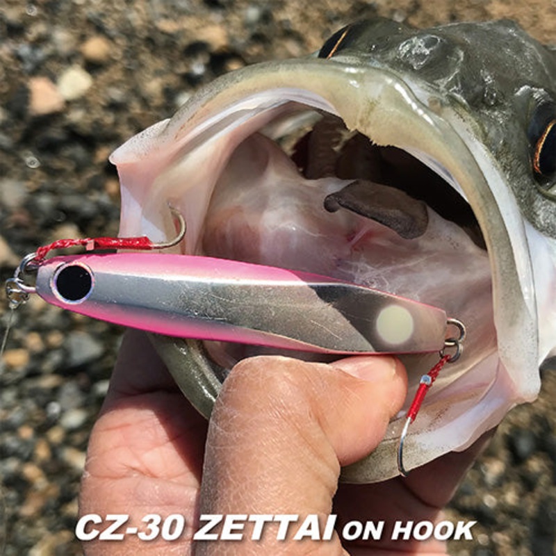 COREMAN Metal Jig CZ-30 with Hook 30g #001 Mako iwashi