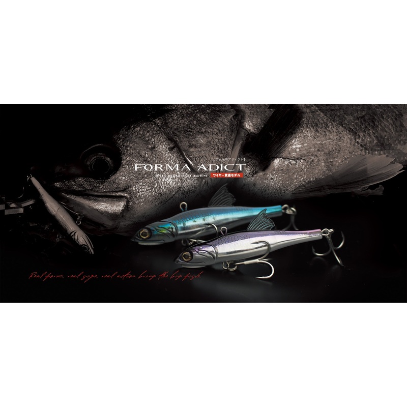 Little Jack Forma Adict 68mm #02